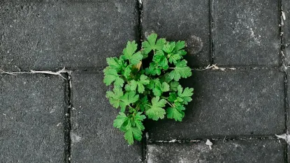 Καζίνο Ντεποσιτ Γουιν Κινητη εφαρμογη